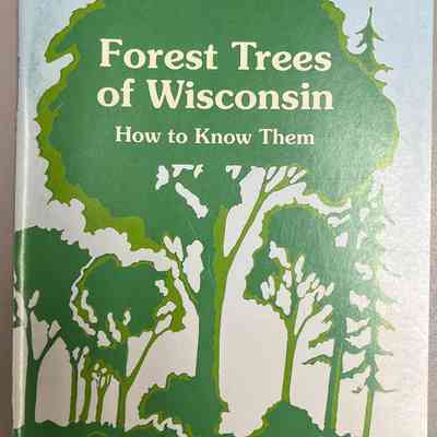 Forest Trees of Wisconsin