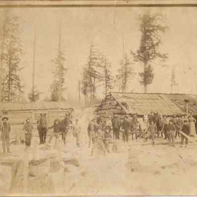 Logging Team