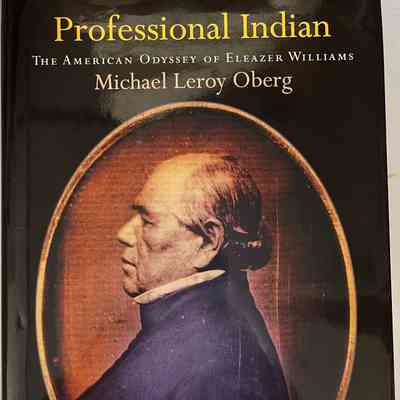 Professional Indian