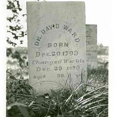 Dr. David Ward Headstone