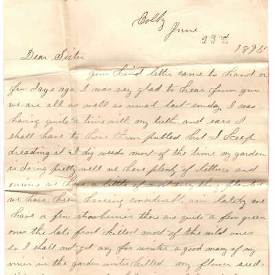 Correspondence from P.J. Johnson to Agnes L. Fowler -- Jun 1895