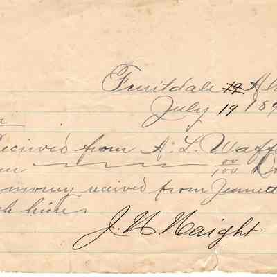 Waffle Correspondences -- Jul 19, 1895