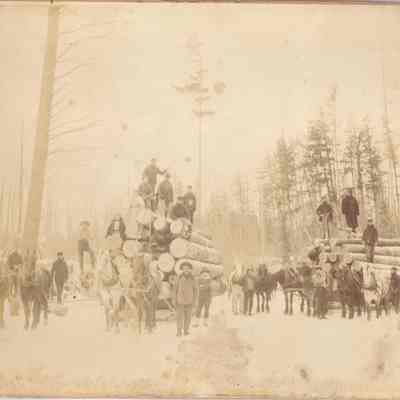 Logging Team on the Evergreen River