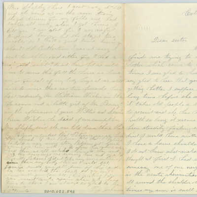 Correspondence to Agnes L. Fowler from P.J. Johnson -- Nov 1885