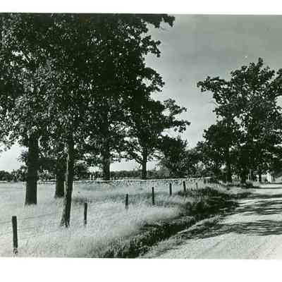 Dirt road with fence