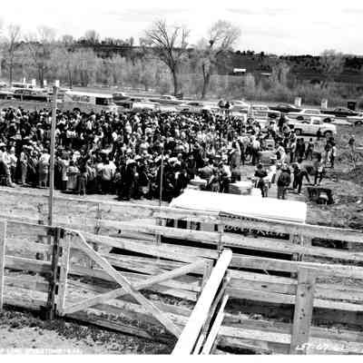 Crowd at food gathering