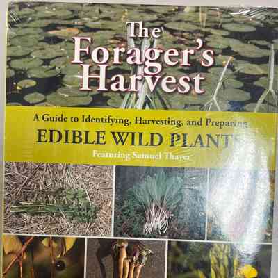 The Forager's Harvest
