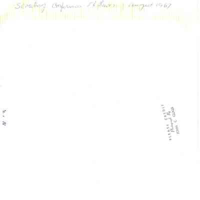 P.2001.003.135 back