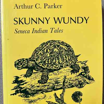 Skunny Wundy