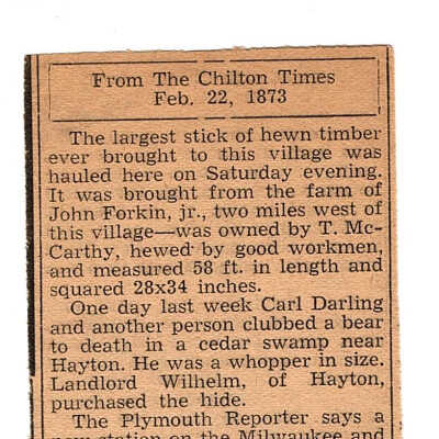 Chilton Times from Feb 22, 1873