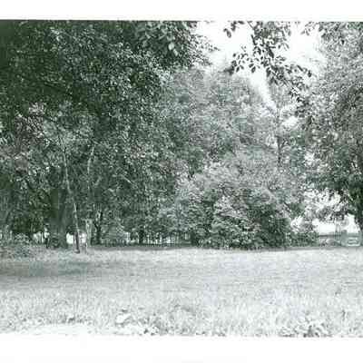 Lawn of the Grignon Home