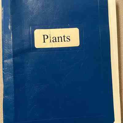 Oneida Nation Museum Nature Trial Plant Identification Guide