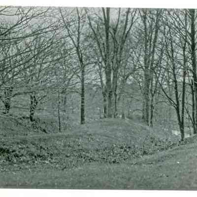 John Wagner farm mill race