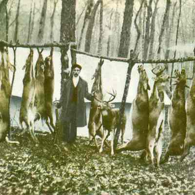Postcard to Miss Effa Stage - Man with deer