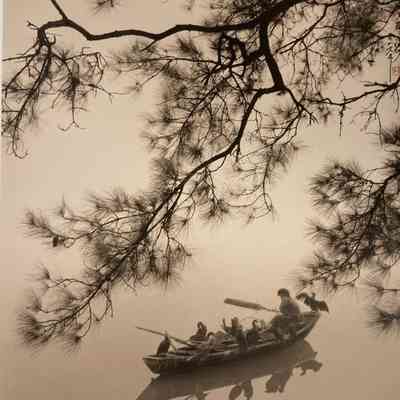 Lonely Fisherman