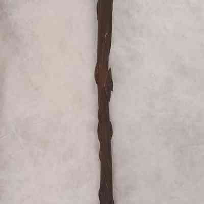 Diamond Willow Staff