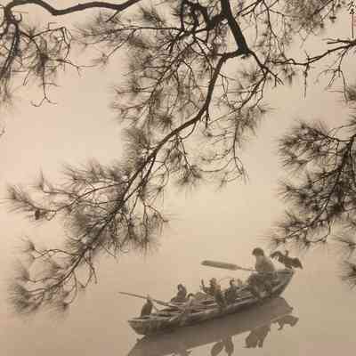 Lonely Fisherman