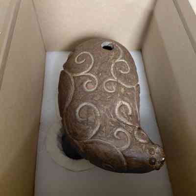 Ajolote de hierro (Iron Axolotl)