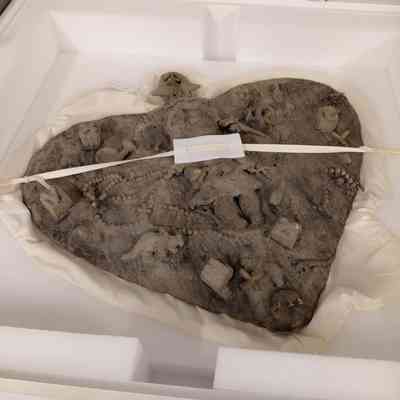 Catharsis Series: Haunting