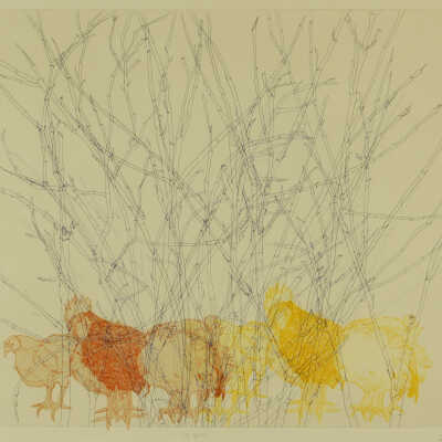 Overlapping Drawings