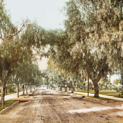 Marengo Avenue, Pasadena, California, #53040