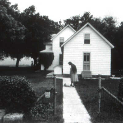Untitled (Vicki Johnson's Farmyard)