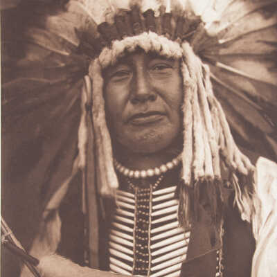 Yellow Owl - Mandan