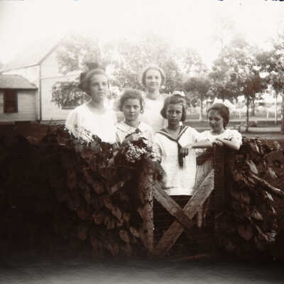 Girls in the Yard
