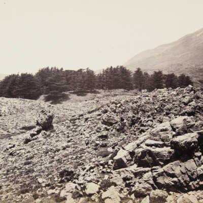 Distant View of the Cedars, Mount Lebanon