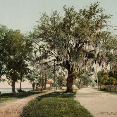 Along the Bay, St. Louis