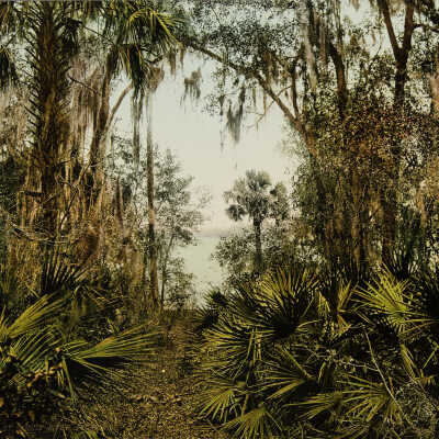 The St. John's River