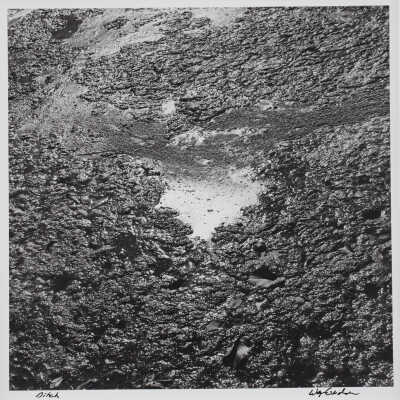 Ditch