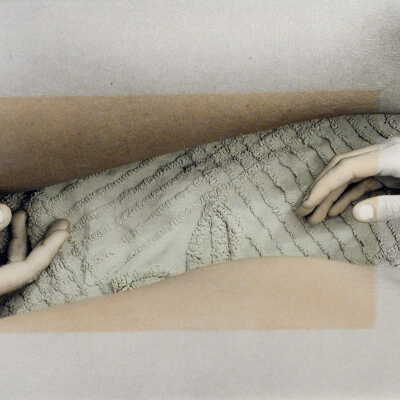 Hands and Legs with Fly