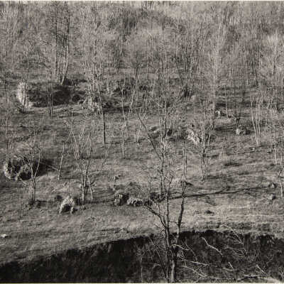 Wisconsin Hillside