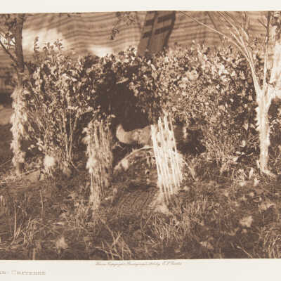 The Altar - Cheyenne