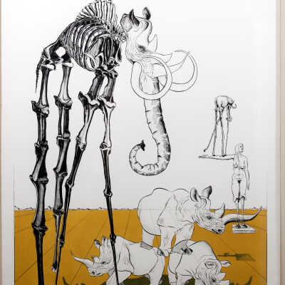 Dalinian Dichotomy