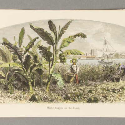 Market Garden on the Coast