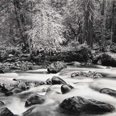 Merced River and Forrest, Yosemite Valley, California