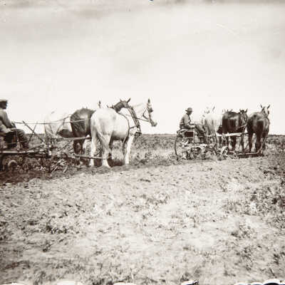 Metelmann Men and Horse Team and Plows