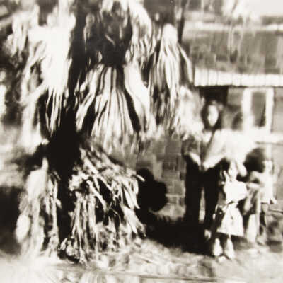 Untitled (people and tree)