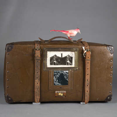 Suitcase (with bird)