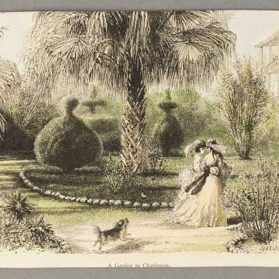 A Garden in Charleston