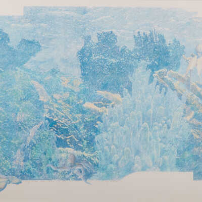 Reef with Octopus