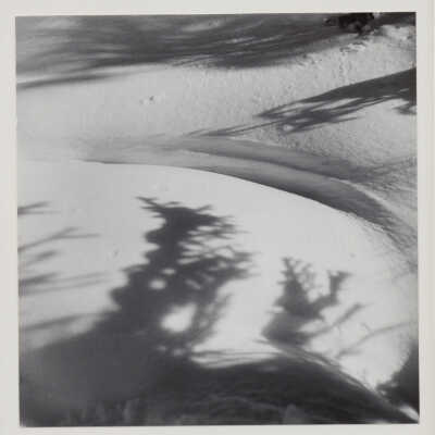 Shadows on the Snow