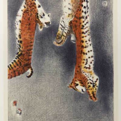 Clever Hunter, Three Bobcats