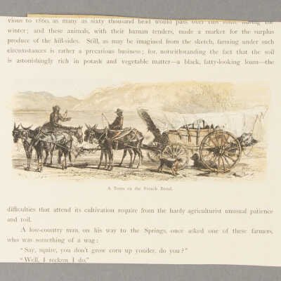 A Team of French Broad