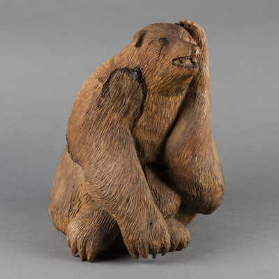 Wounded Bear