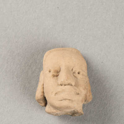 Head