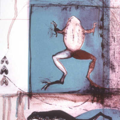 Frog Study