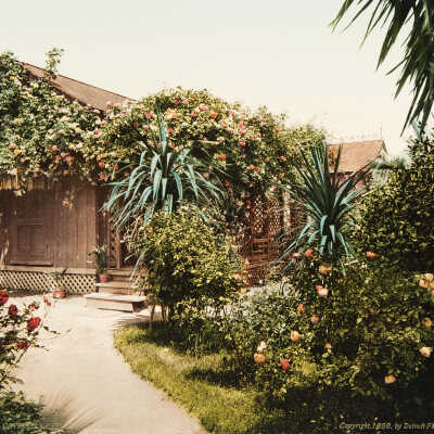 Rose Covered Cottage, Pasadena, #53044